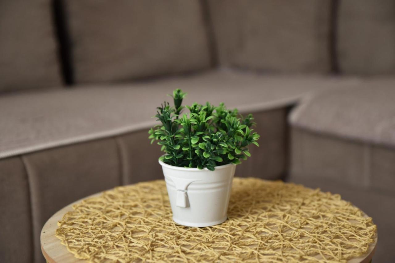 אולסינץ' Apartments Kupi Ul Rudaj 41 מראה חיצוני תמונה